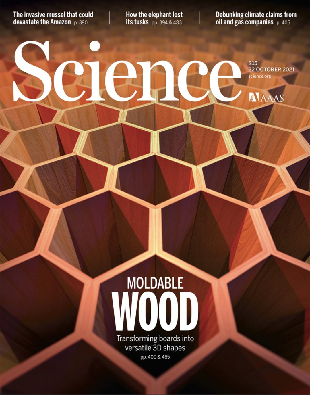牛！“木頭大王”胡良兵發完Nature，又登Science封面！