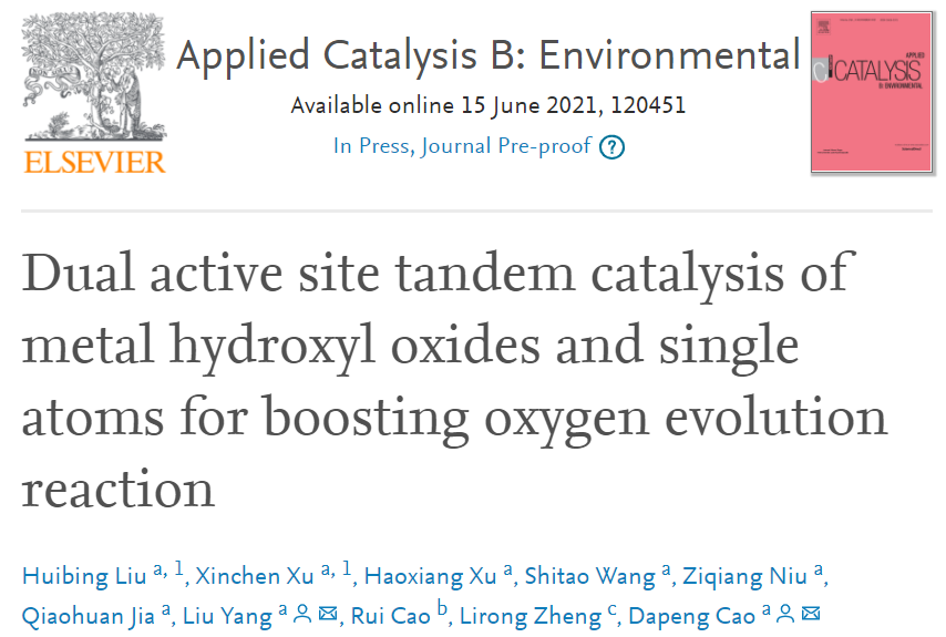 北化工Appl. Catal. B Environ.：串聯催化！單原子與金屬羥基氧化物助力OER