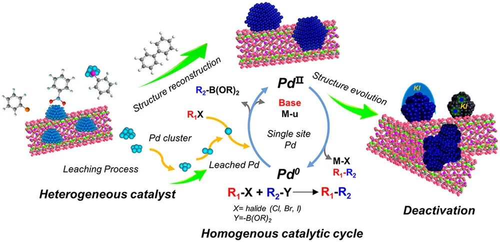 催化精選，8篇頂刊：JACS、Angew.、ACS Energy Lett.、ACS Nano及ACS Catal.