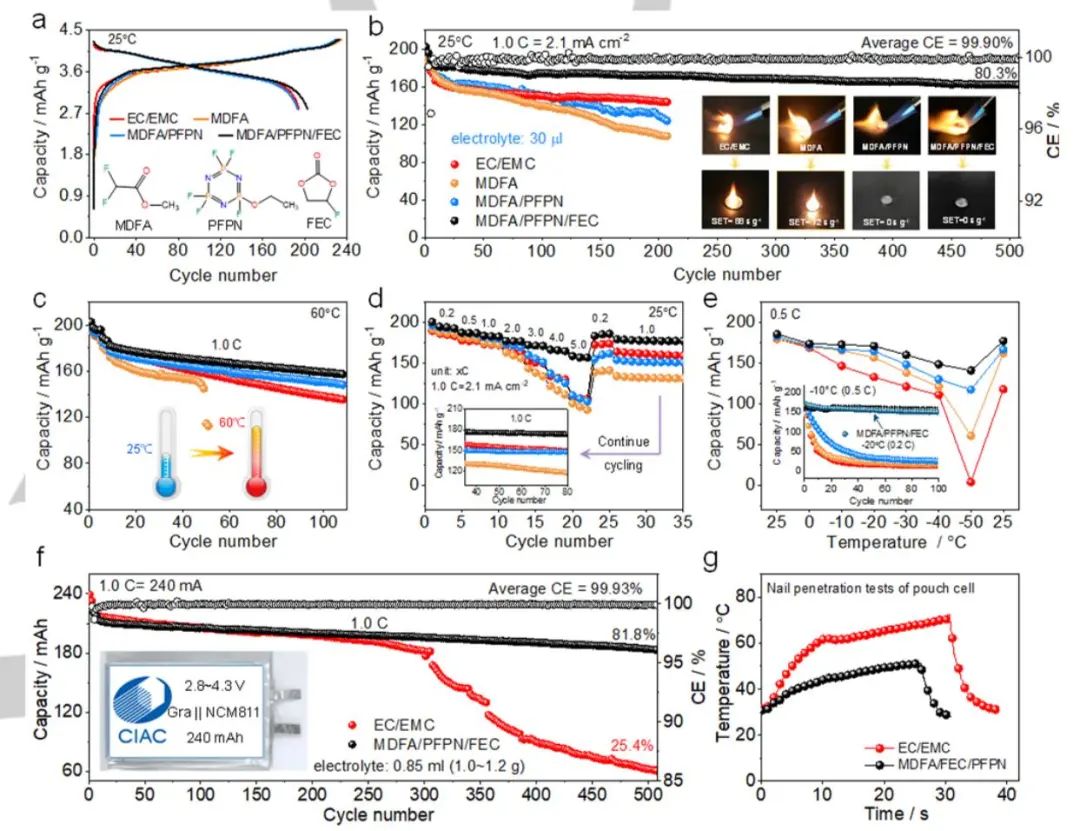 電池頂刊集錦：Angew、AEM、Small、ACS Energy Letters、ACS Nano等成果精選！