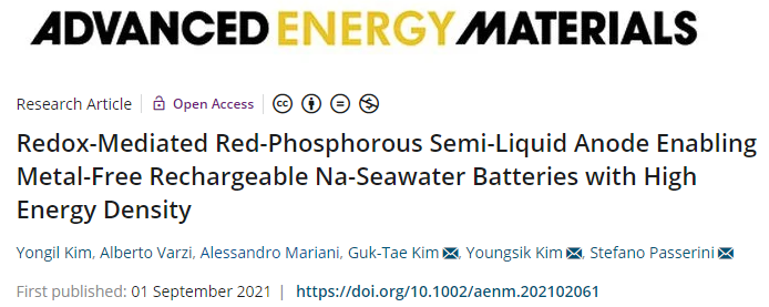 ?電池頂刊集錦！EES、AEM、AFM、JACS、ACS Nano、Small等最新成果速覽