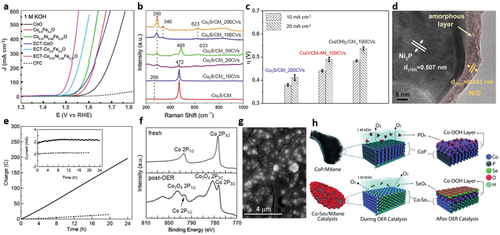 瘋狂收割頂刊！“OER重構(gòu)”大匯總：AFM/Matter/Angew/Nano Energy等