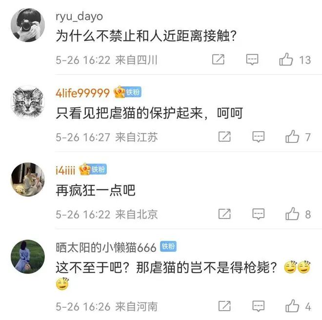 上海交大：博士研究生擅自逗貓，全校通報批評！取消全年評獎評優！