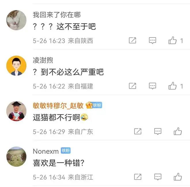上海交大：博士研究生擅自逗貓，全校通報批評！取消全年評獎評優！