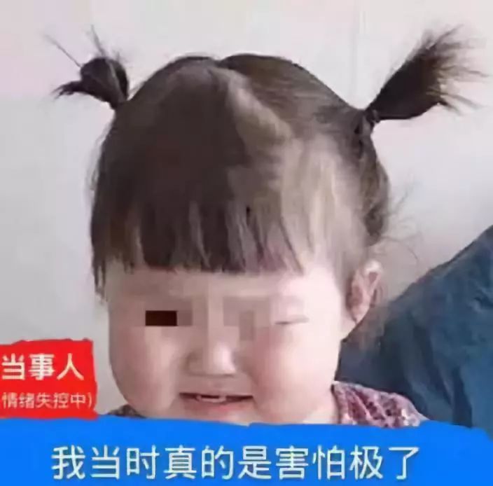 男博士勿入！當(dāng)代女博士迷惑行為大賞，哈哈哈哈哈……