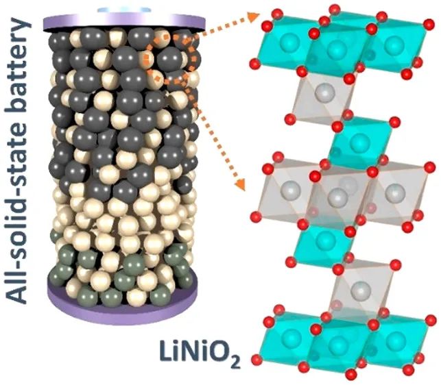 ACS Energy Lett.：LiNiO2在固態電池中的循環性能和局限性