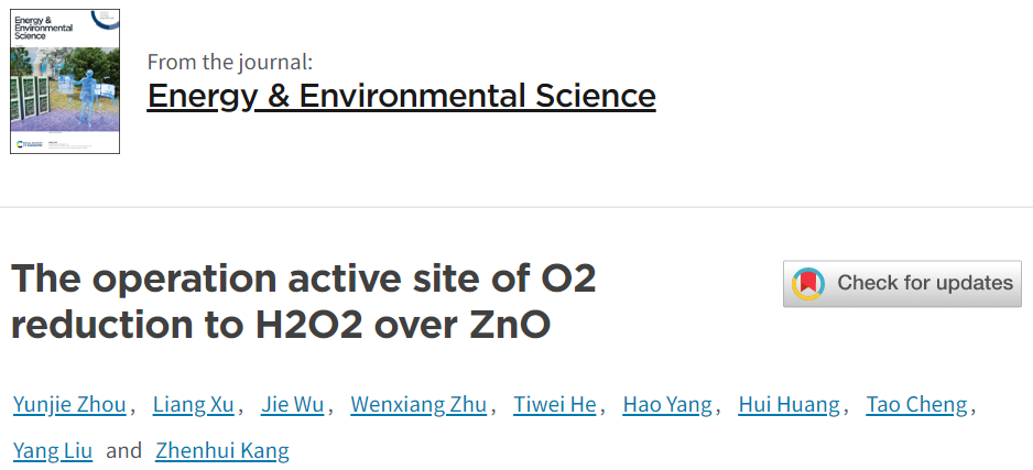 蘇州大學EES：近100%選擇性！ZnO@ZnO2助力ORR制H2O2