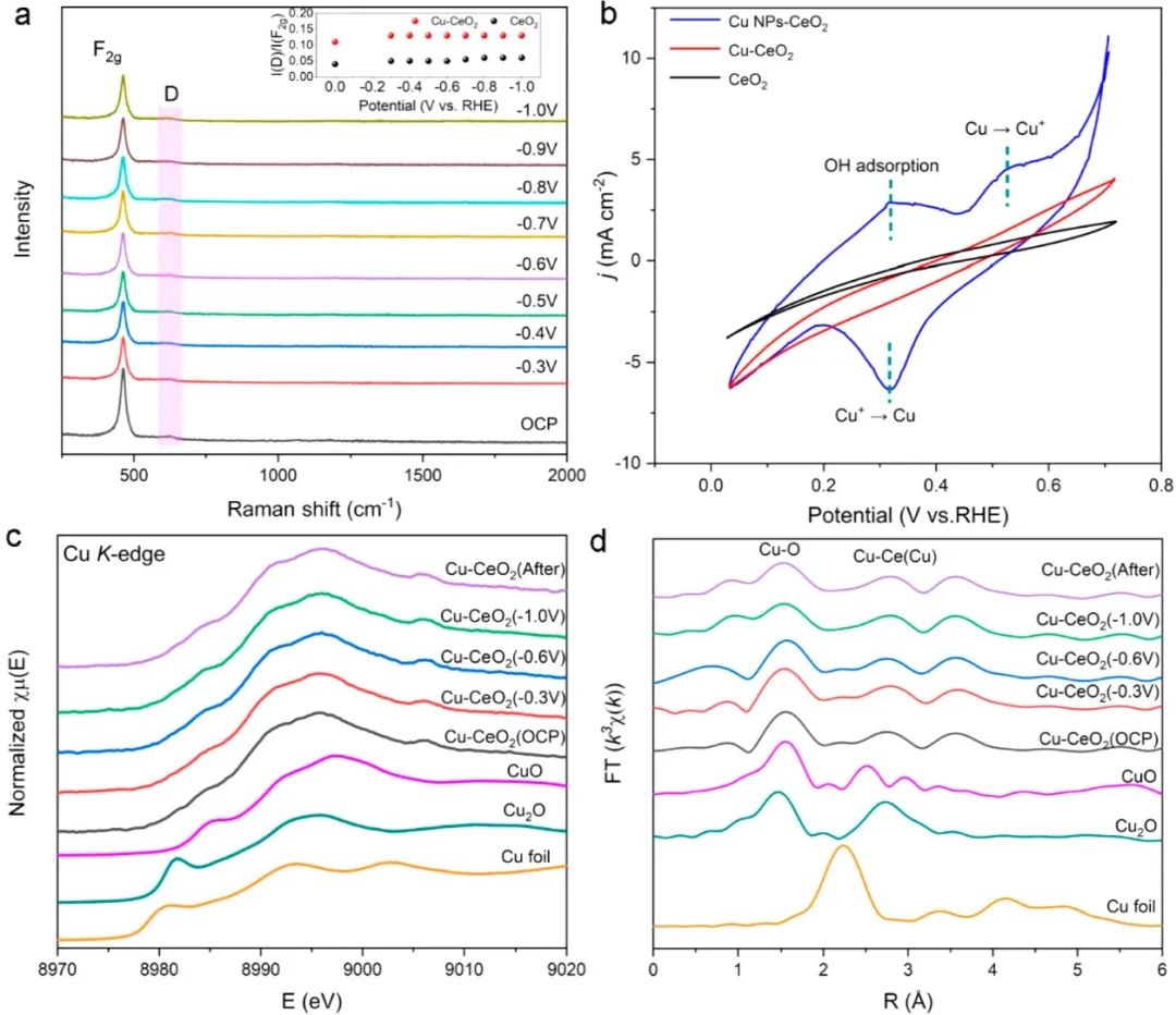 催化頂刊合集：Nature子刊、Angew、AFM、ACS Nano、ACB、Nano Lett等成果！