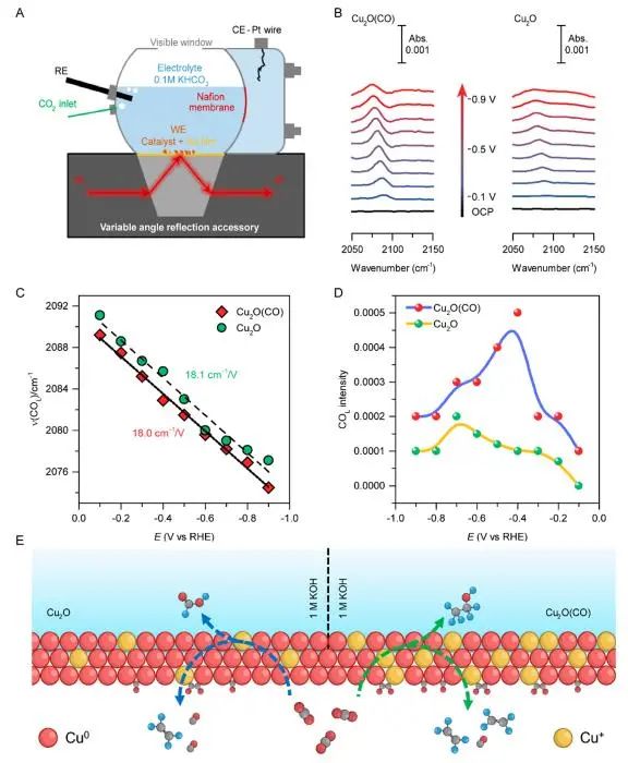 催化頂刊集錦：Nature子刊、JACS、ACS Nano、ACS Energy Lett.、AFM、NML等成果