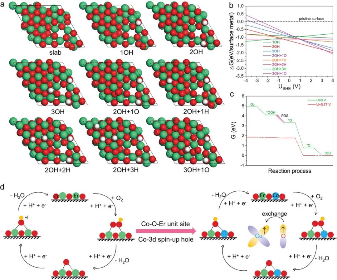 催化頂刊合集：JACS、ACS Catalysis、AM、AEM、CEJ、Small等成果！