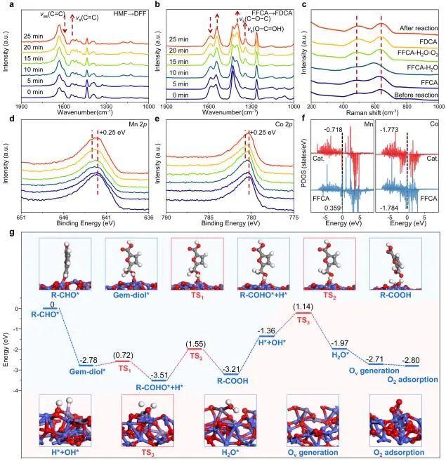 衛敏/楊宇森ACS Catalysis：多相界面催化劑電子局部交換，增強生物基平臺化合物高選擇性氧化