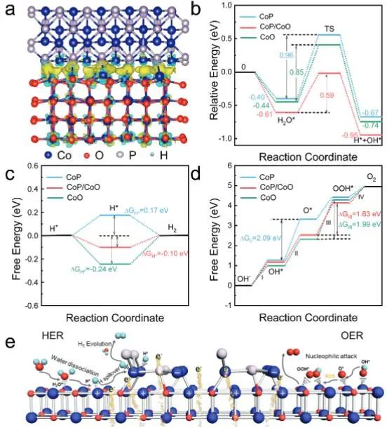 催化頂刊集錦：Nature子刊、JACS、AFM、ACS Catalysis、Nano Energy等