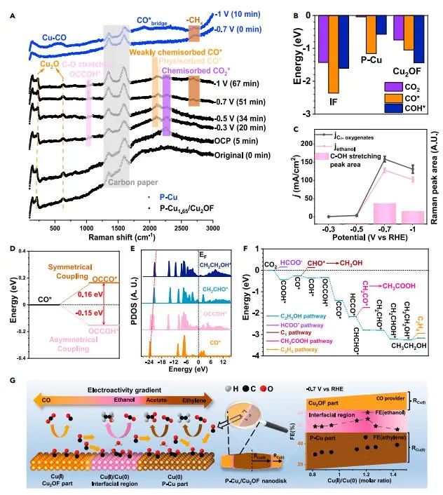 計算文獻速遞：Nature Catalysis、EES、JACS、Chem、EnSM、Nat. Commun.等！
