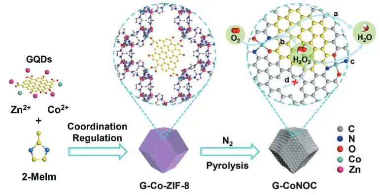 催化頂刊集錦：JACS、Nature子刊、ACS Catal.、AFM、Small、Carbon Energy等最新成果！