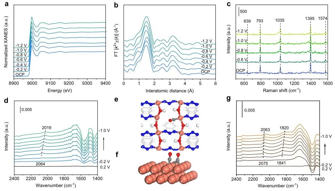 ?計算+實(shí)驗(yàn)頂刊：Nature子刊、AFM、AEM、Small、ACS Catalysis等成果精選！