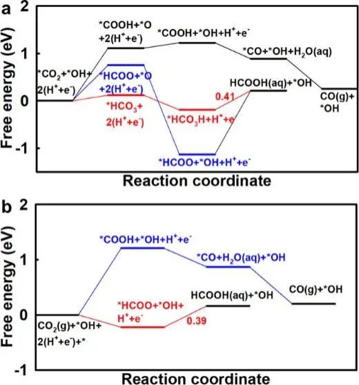 中科大穆楊/王功名ACS Catal.: 表面非共價相互作用調(diào)節(jié)CO2的電化學質(zhì)子化行為