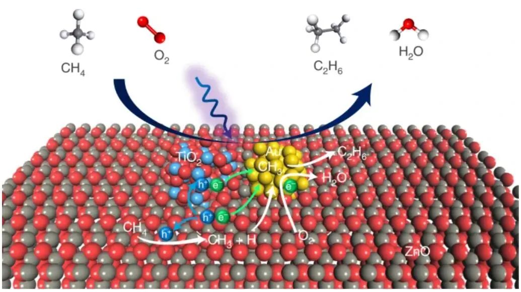 8篇催化頂刊：Nat. Catal.、JACS、Angew.、Chem、Nat. Commun.等成果
