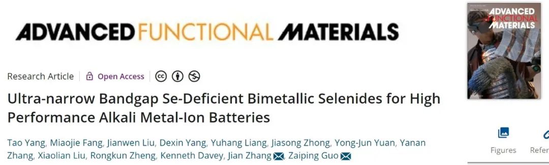 郭再萍/張鑒AFM：基于雙金屬硒化物的高性能堿金屬離子電池！