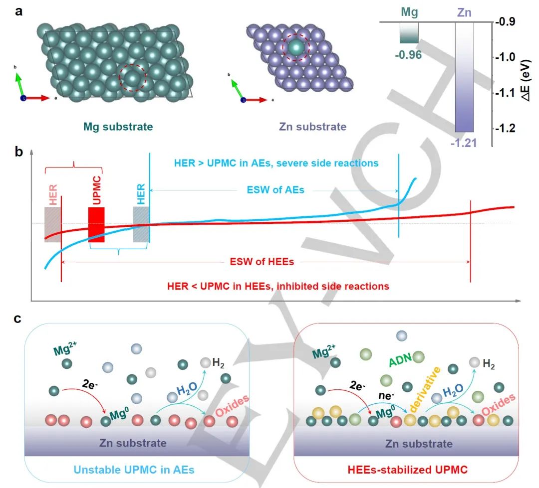 8篇電池頂刊集錦：Nature子刊、JACS、Angew.、Adv. Sci.、AFM、EnSM等最新成果！