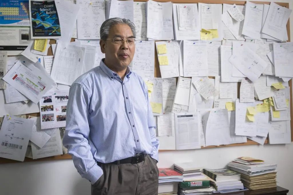 創造歷史！34所高校官宣，獲教育部大獎