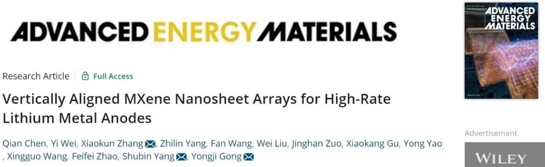 宮勇吉/楊樹斌/張曉琨AEM：MXene納米片陣列實(shí)現(xiàn)高倍率鋰金屬負(fù)極