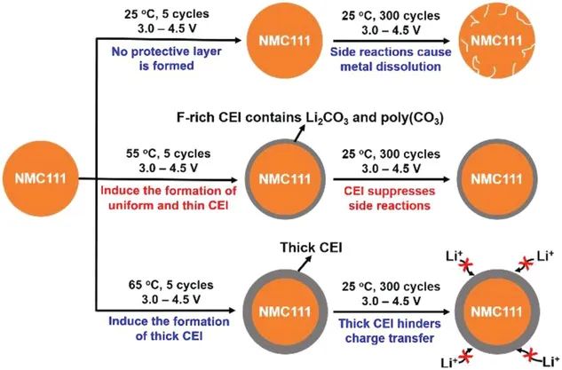 南洋理工陳曉東Small Methods: 熱定制CEI界面實現NMC正極的高壓運行