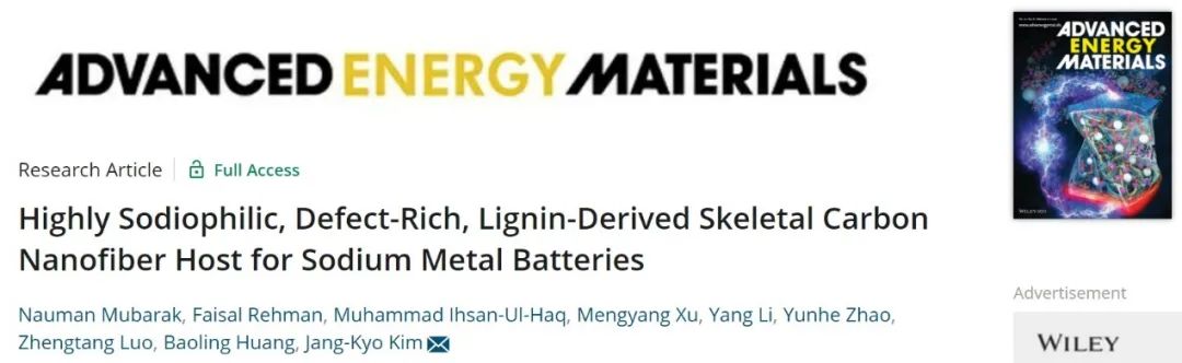 港科大AEM：木質素衍生高親鈉、富含缺陷的碳納米纖維基體