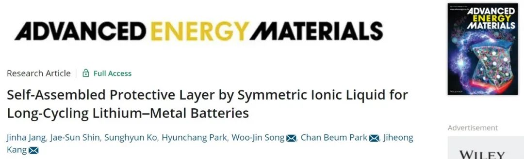 AEM：對稱離子液體電解液添加劑實現長循環鋰金屬電池