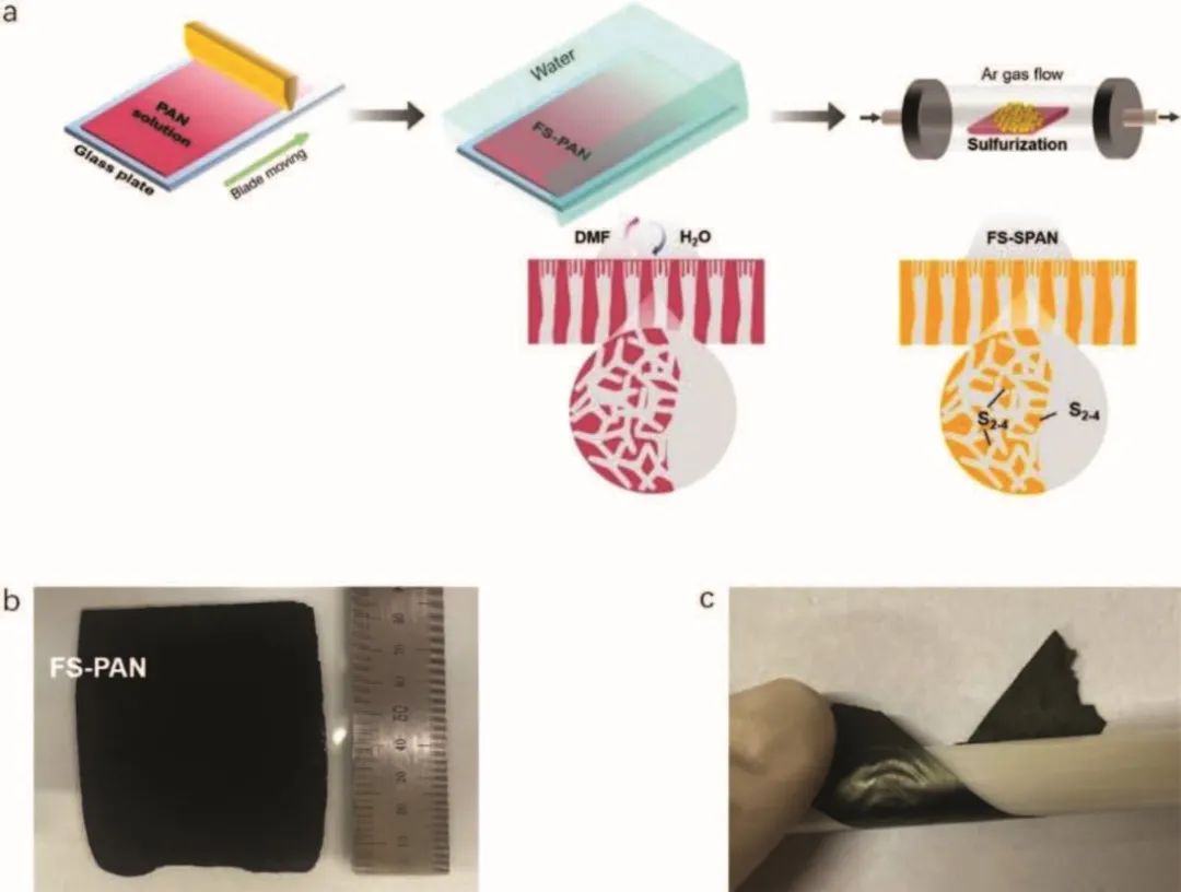 成均館大學(xué)Small Methods：用于鉀硫電池的無粘結(jié)劑、高負(fù)載正極