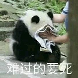 導師水平低，是碩博延畢常見且重要的原因