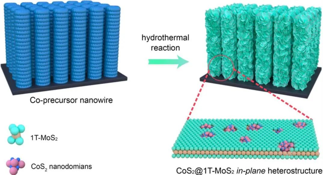 催化頂刊集錦：ACS Catalysis、Small、Nano Energy、NML、Appl. Catal. B.等成果