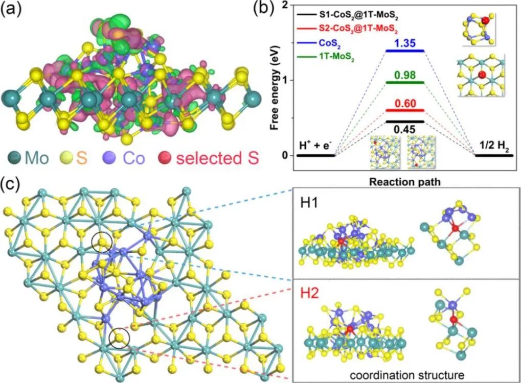 催化頂刊集錦：ACS Catalysis、Small、Nano Energy、NML、Appl. Catal. B.等成果