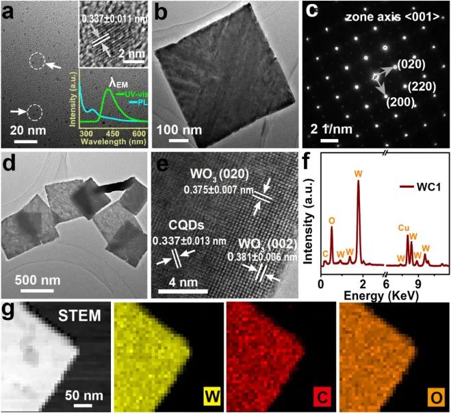 催化頂刊集錦：AFM、Appl. Catal. B.、Small、EnSM、Chem. Eng. J.等最新成果