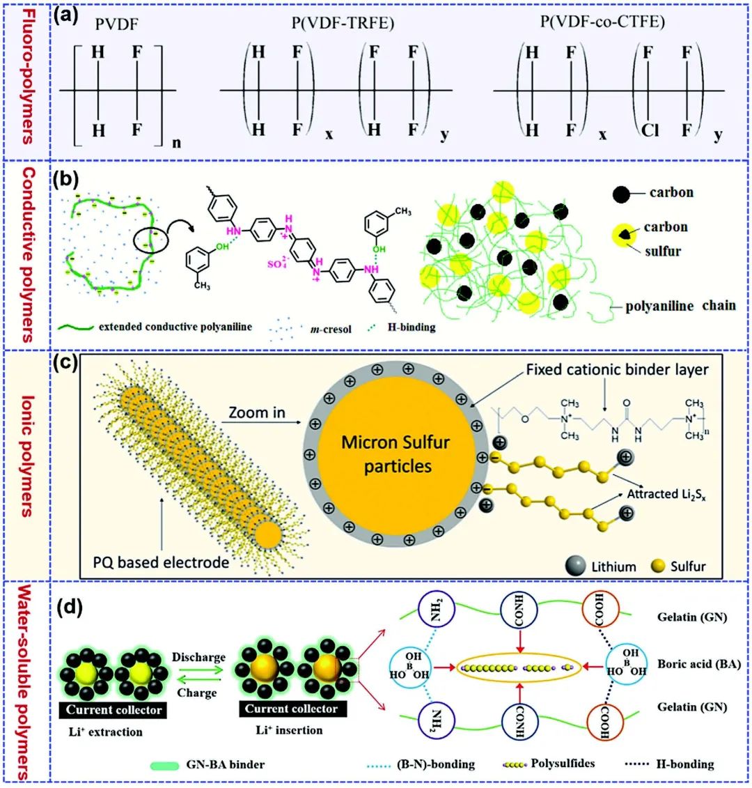 中南民族大學楊應奎/佐治亞理工學院林志群Adv. Sci.：用于鋰硫電池的聚合物