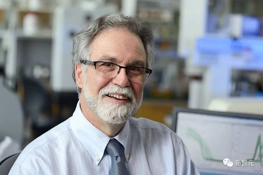 斯坦福校長也玩「圖片誤用」？Nature、Science多文涉嫌PS，校方正式展開調查