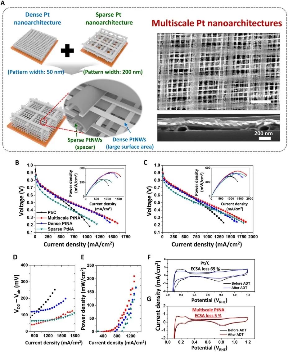 Science Advances：結構調制的3D電催化劑用于高性能燃料電池電極
