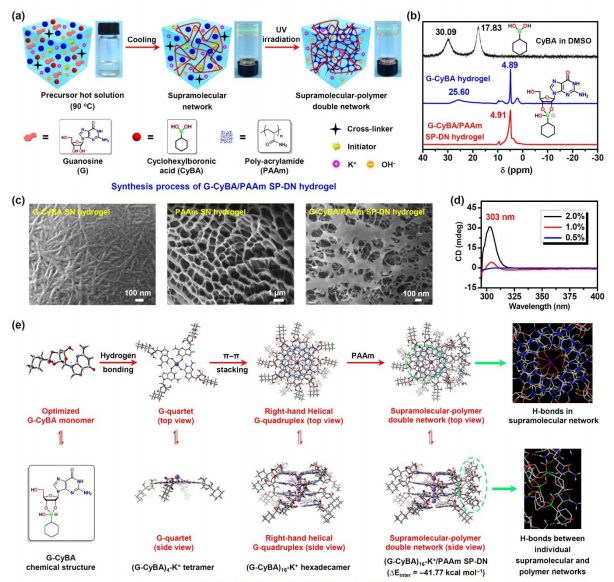 EES：-50到100°C！小分子基超分子聚合物雙網絡水凝膠電解質