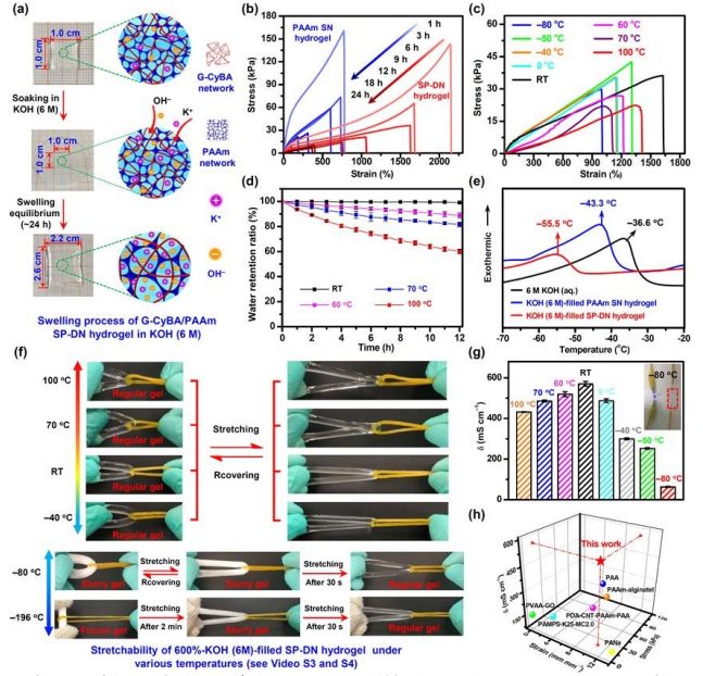 EES：-50到100°C！小分子基超分子聚合物雙網絡水凝膠電解質