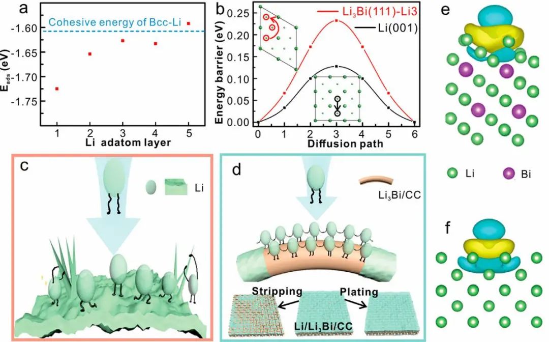 徐英/康毅進Nano Lett.：穩定鋰金屬電池的Li3Bi無枝晶鍍鋰的熱力學調節