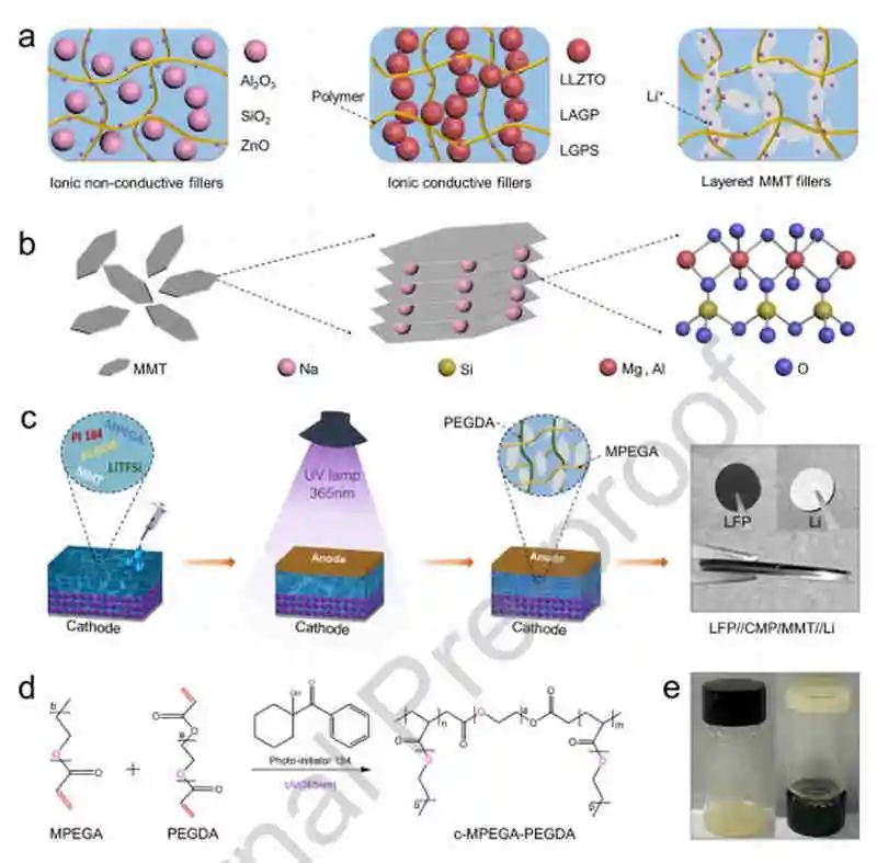 西交丁書江Nano Energy：金屬鋰電池聚合物固體電解質中蒙脫石的局部電場效應