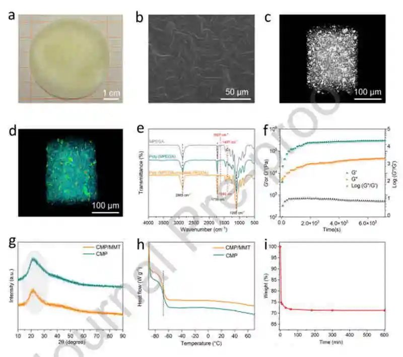 西交丁書江Nano Energy：金屬鋰電池聚合物固體電解質中蒙脫石的局部電場效應