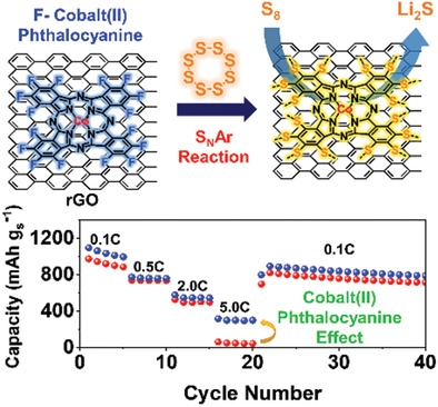 AFM：以鈷(II)為中心的氟化酞菁實現優異轉換動力學的堅固鋰硫電池