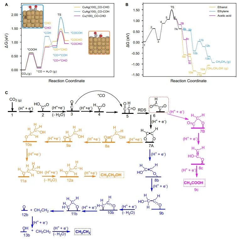 ?催化頂刊集錦：Nature子刊、Angew、AFM、ACS Nano、ACS Energy Lett.等成果