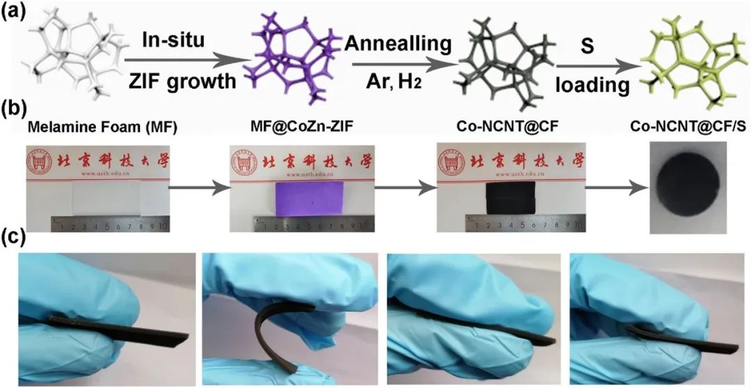 北科顧有松/閆小琴Nano Energy：多功能Co-Nx調控多硫化物轉化動力學實現高效鋰硫電池