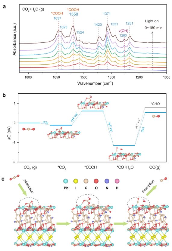 Nature子刊 ：金屬有機框架中溴和碘橋接的建筑單元，用于增強載流子傳輸和水蒸氣對CO2的光還原