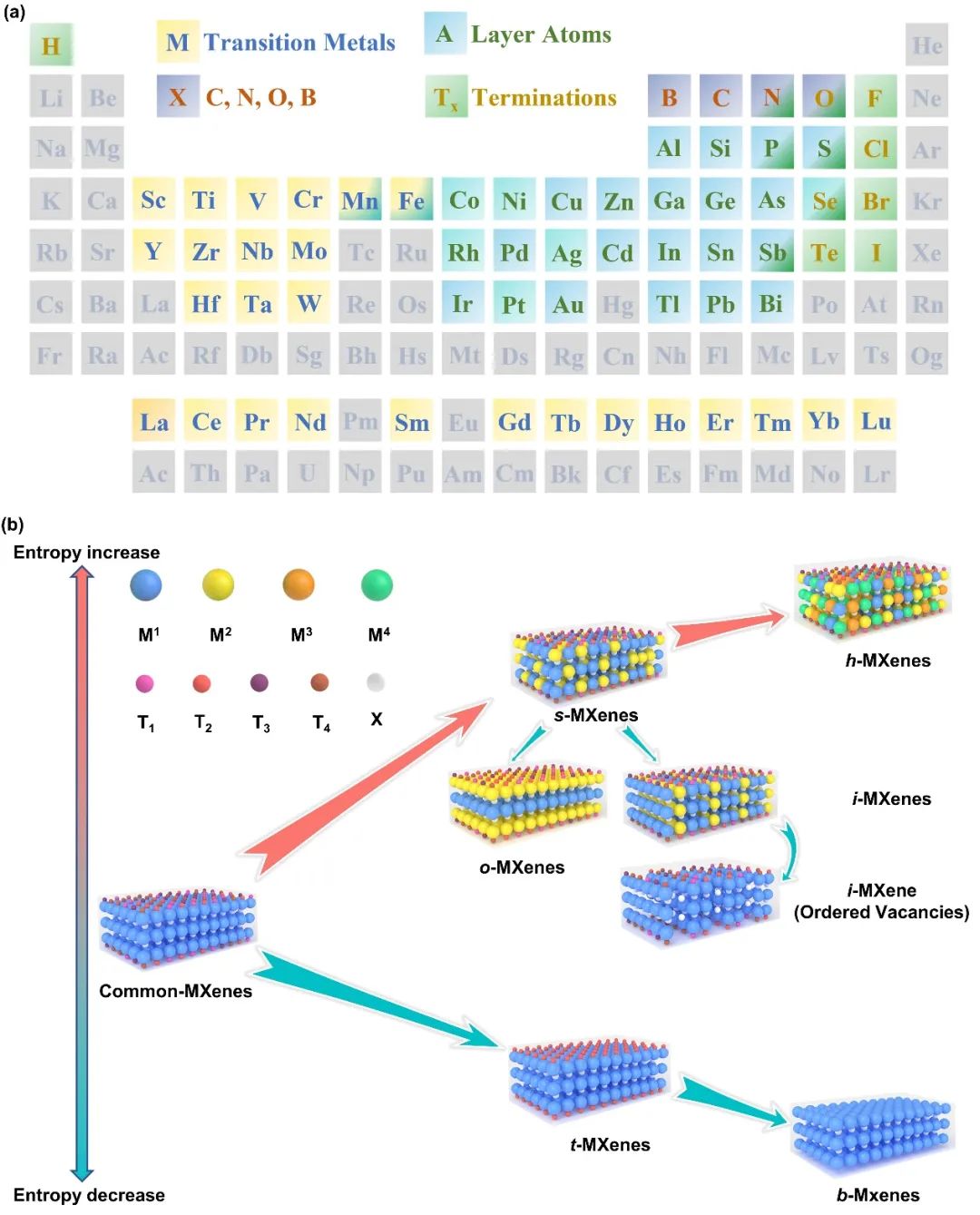 吉林大學最新MXenes綜述：用于下一代技術的制備策略和構效關系的進展與展望