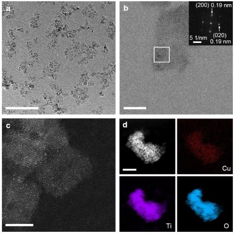 催化頂刊集錦：Angew.、JACS、Chem、AM、ACS Catal.、ACS Nano、Nano Lett.等成果