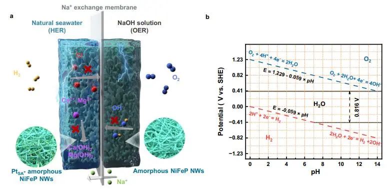 催化頂刊集錦：JACS、Nature子刊、EES、ACS Catal.、Adv. Sci.等