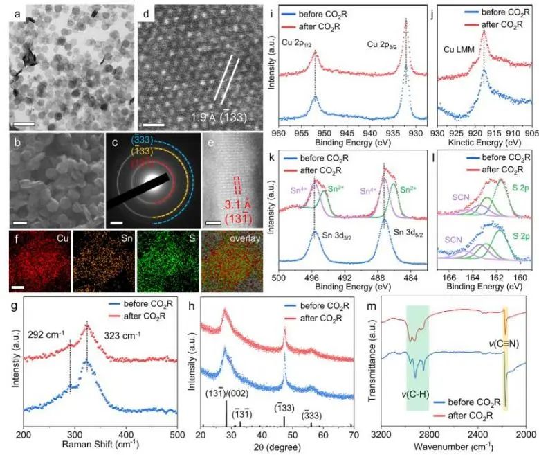 催化頂刊集錦：Nature子刊、JACS、Angew.、AFM、Nano Letters、ACS Catal.等成果