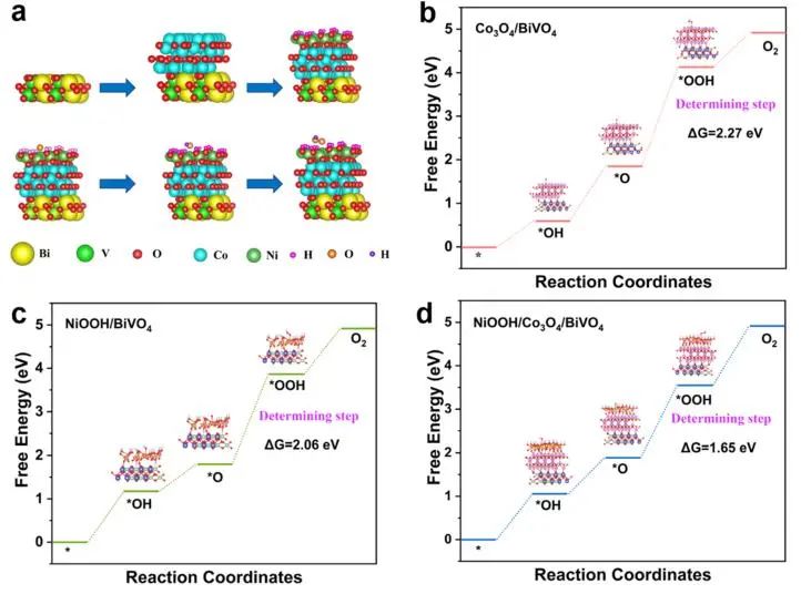 催化頂刊集錦：JACS、Nat. Catal.、AM、AFM、ACS Catal.、ACS Nano、Small等人